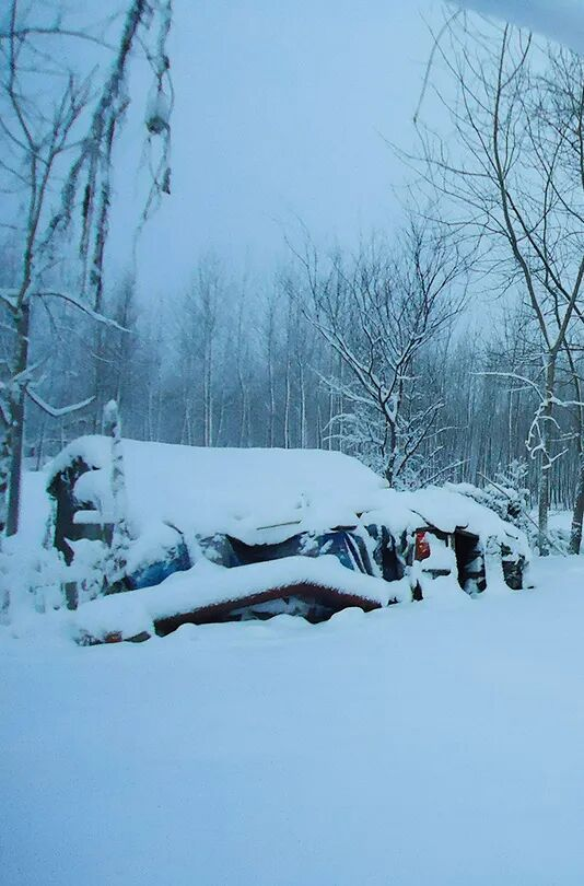 1762482864104397.png image.png